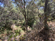 Enlarge photo 155