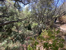 Enlarge photo 156