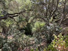 Enlarge photo 157