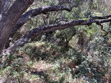 Enlarge photo 158