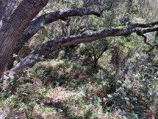 Enlarge photo 159