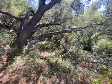 Enlarge photo 160