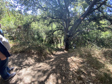 Enlarge photo 162