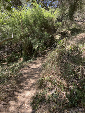 Enlarge photo 163