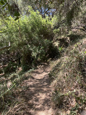 Enlarge photo 164