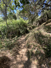 Enlarge photo 165
