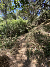 Enlarge photo 166