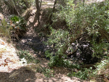 Enlarge photo 167