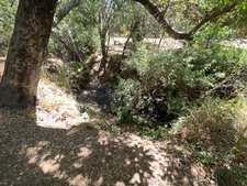Enlarge photo 168