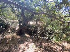 Enlarge photo 169