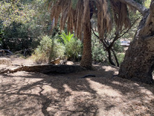 Enlarge photo 173
