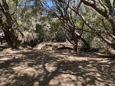 Enlarge photo 174