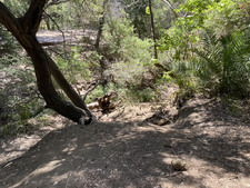 Enlarge photo 175