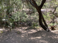 Enlarge photo 176