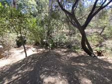 Enlarge photo 177