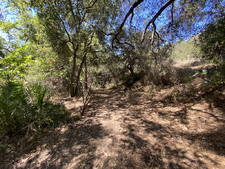 Enlarge photo 178