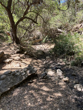 Enlarge photo 179