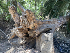 Enlarge photo 182