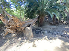 Enlarge photo 183