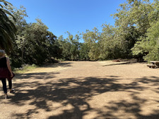 Enlarge photo 184