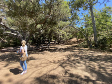 Enlarge photo 186