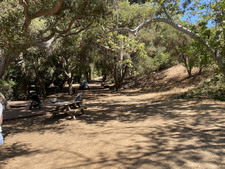 Enlarge photo 187