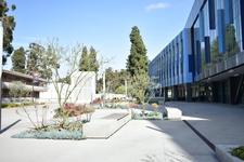 Enlarge photo 60