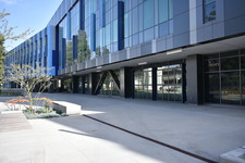Enlarge photo 61