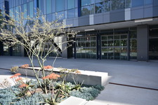 Enlarge photo 63