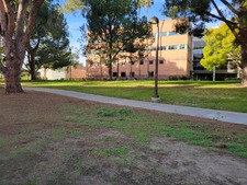CSUN (Northridge)