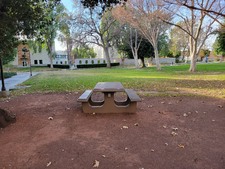 Enlarge photo 31