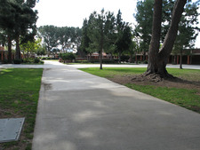 Enlarge photo 25