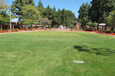 Enlarge photo 40