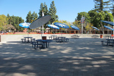 Enlarge photo 45