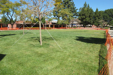 Enlarge photo 47