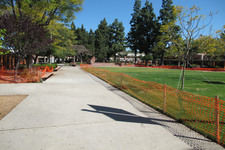 Enlarge photo 51