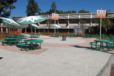 Enlarge photo 54