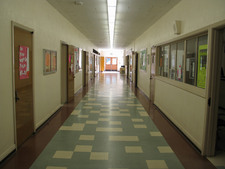 Enlarge photo 114