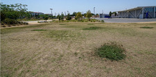 Enlarge photo 17