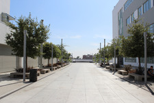 Enlarge photo 25