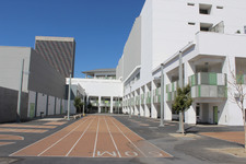 Enlarge photo 35