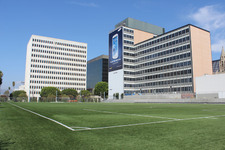 Enlarge photo 83