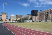 Enlarge photo 88