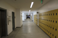 Enlarge photo 166