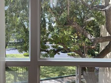Enlarge photo 308