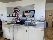 Enlarge photo 334