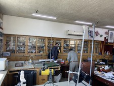 Enlarge photo 342
