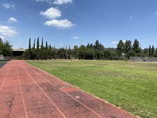 Enlarge photo 347