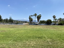 Enlarge photo 348