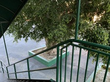 Enlarge photo 28